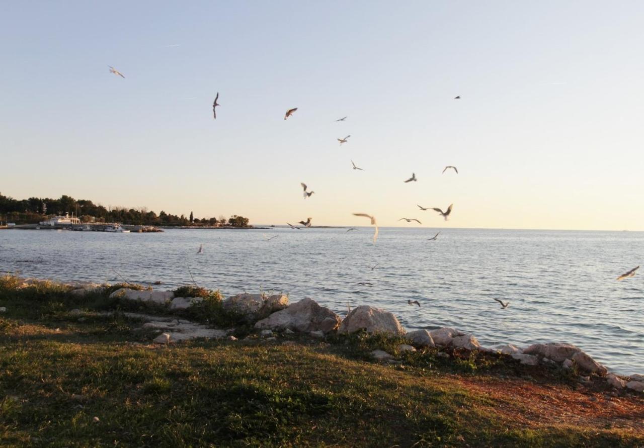 Apartments Zambratija With Sea View Екстер'єр фото